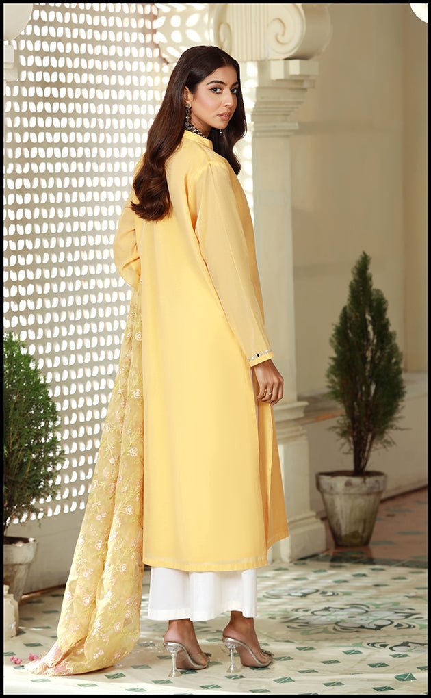 Rawiyaduct_name# - SILA